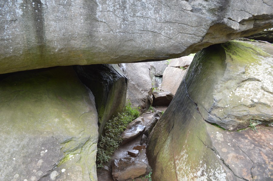 DSC_0028.JPG