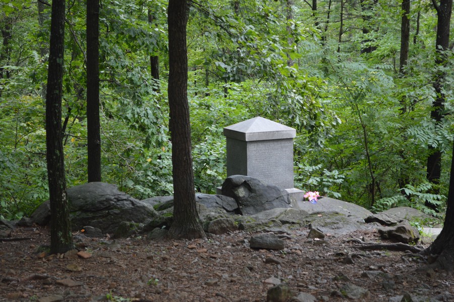 DSC_0040.JPG