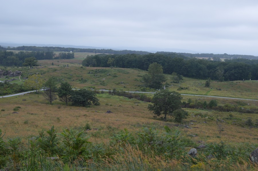 DSC_0045.JPG