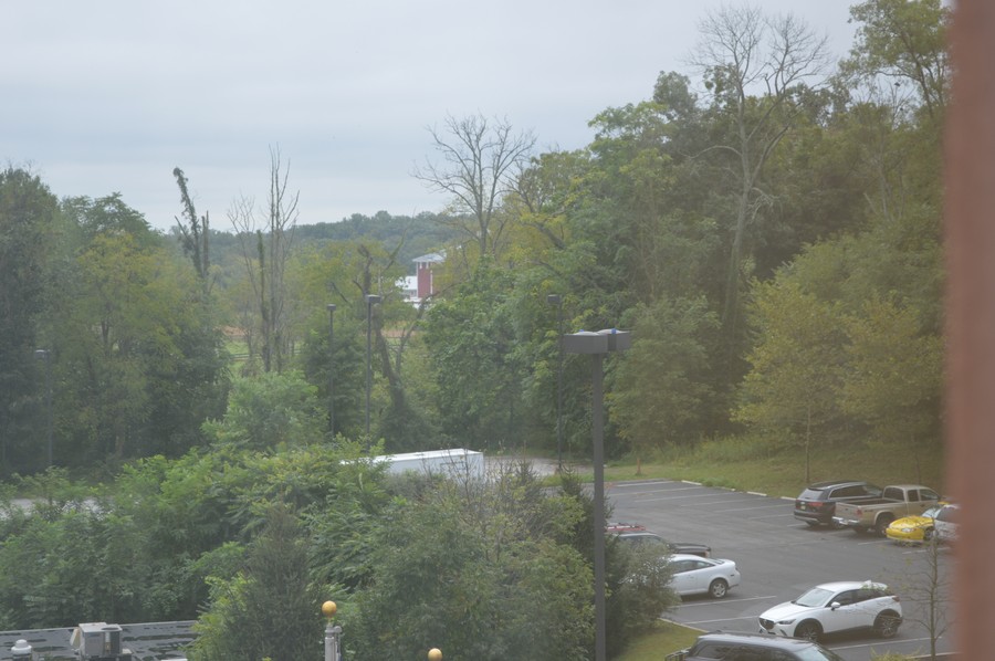 DSC_0104.JPG