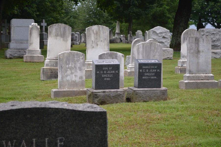 DSC_0130.JPG