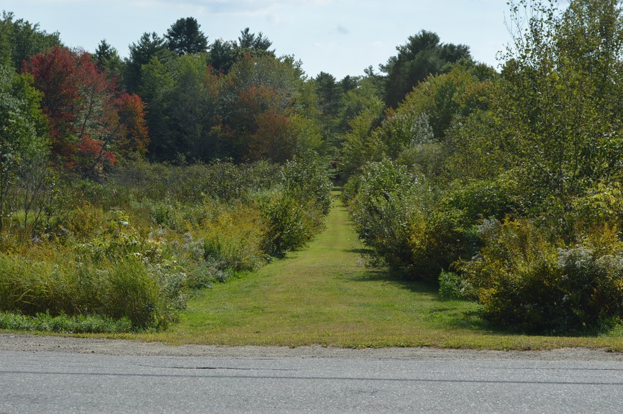DSC_0156.JPG