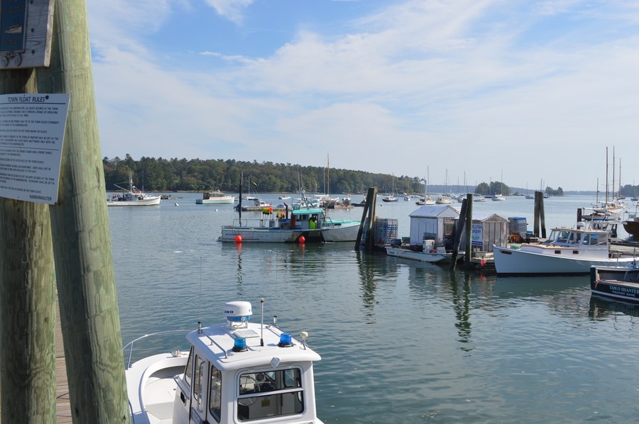 DSC_0191.JPG