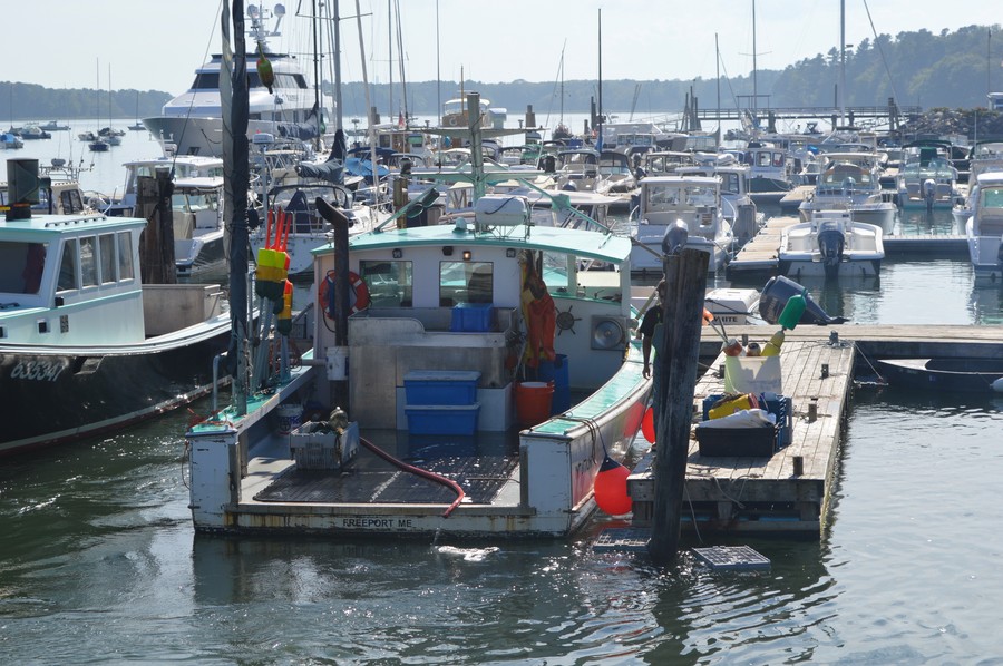 DSC_0192.JPG