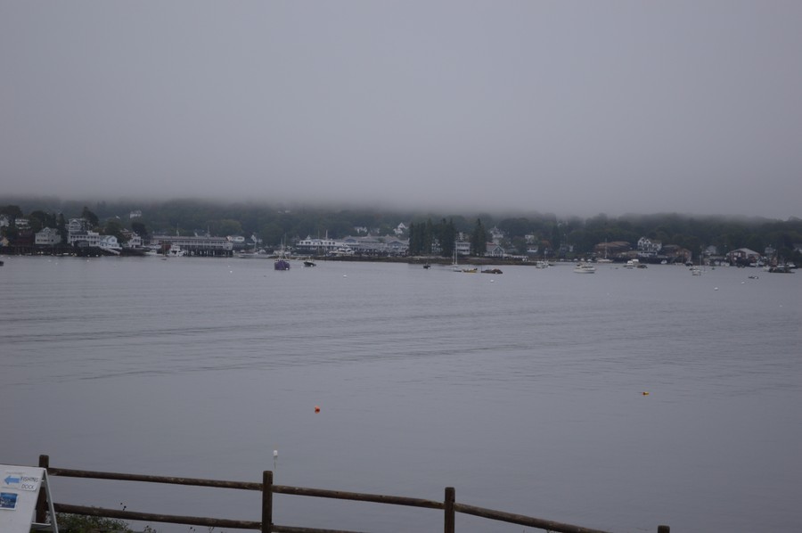 DSC_0196.JPG