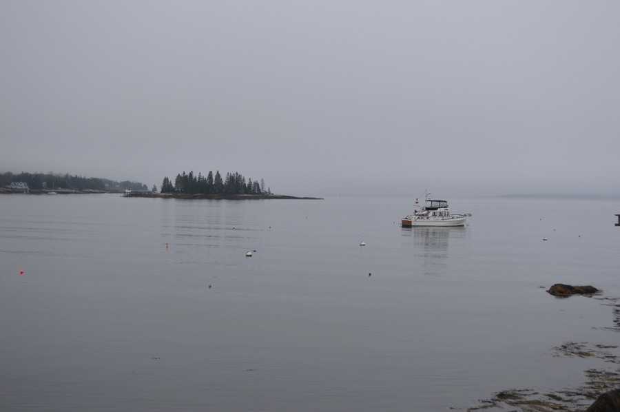 DSC_0198.JPG