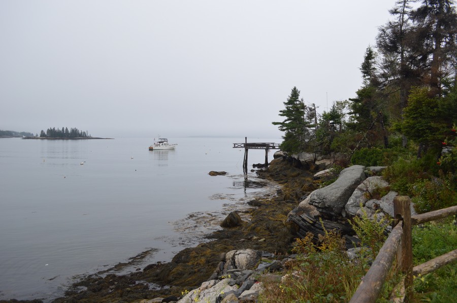 DSC_0199.JPG
