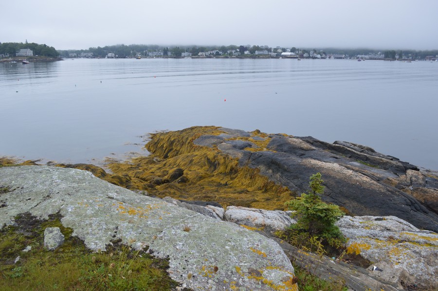 DSC_0201.JPG