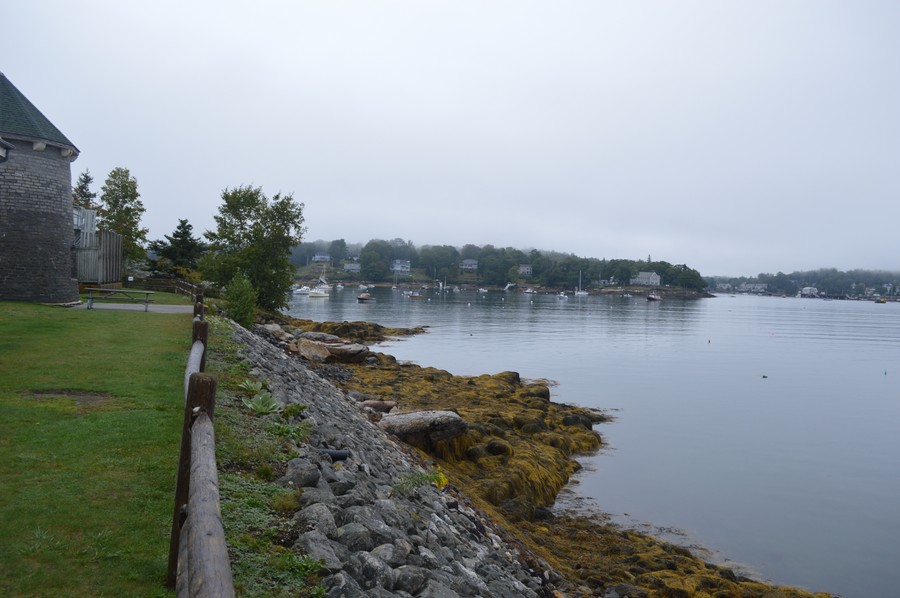 DSC_0202.JPG