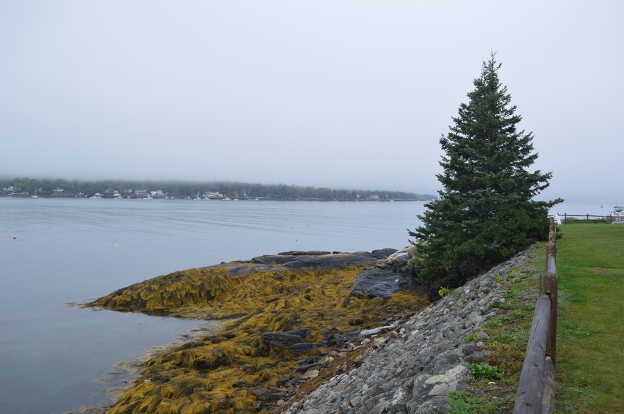 DSC_0203.JPG