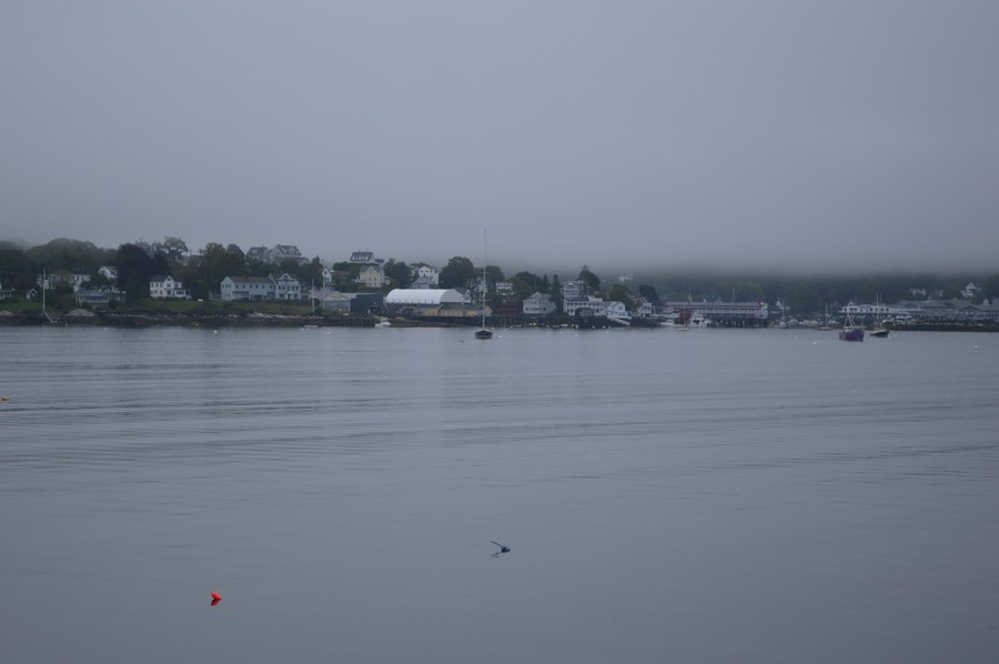 DSC_0204.JPG