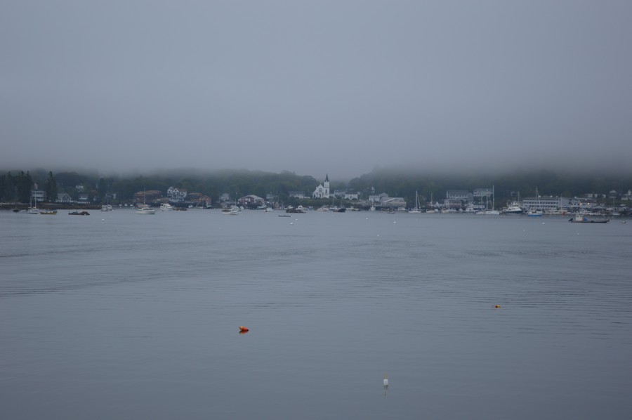 DSC_0205.JPG