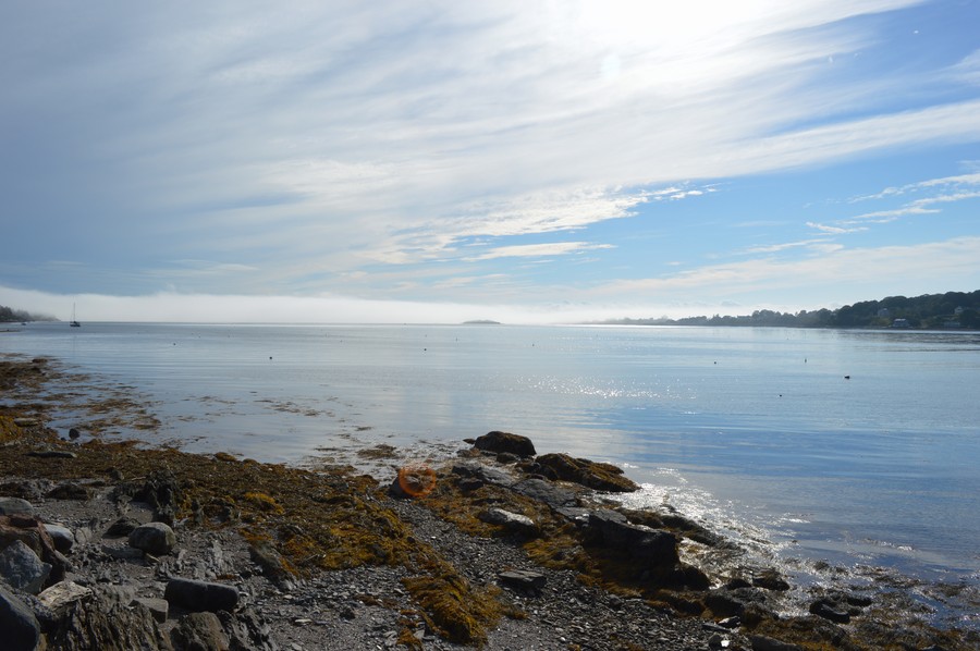 DSC_0210.JPG