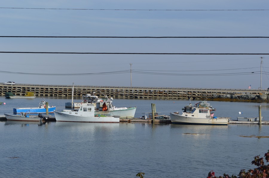 DSC_0211.JPG