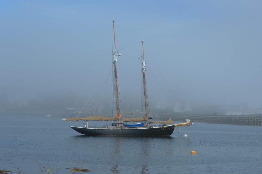 DSC_0213.JPG
