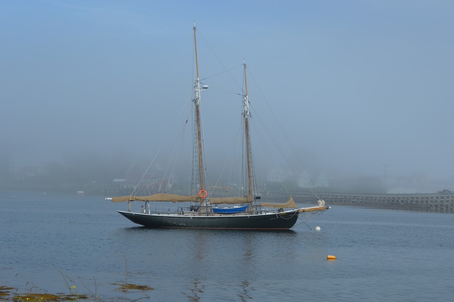 DSC_0214.JPG
