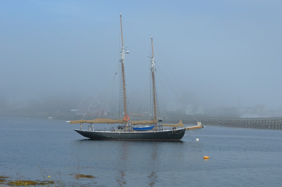 DSC_0215.JPG