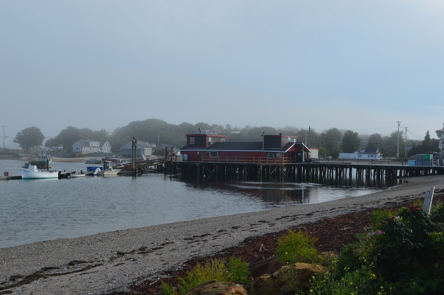 DSC_0216.JPG