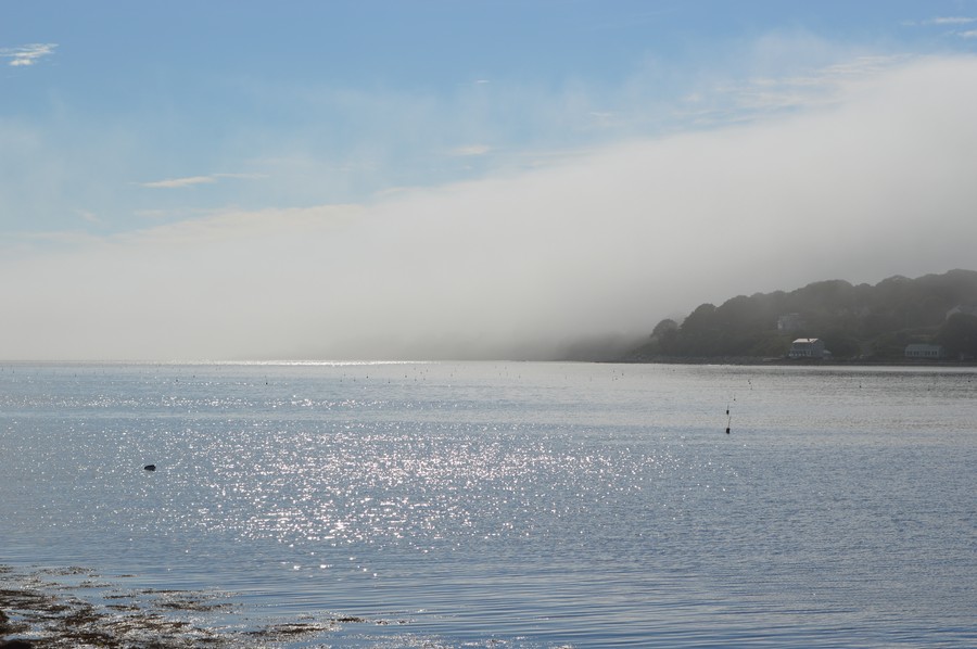 DSC_0223.JPG