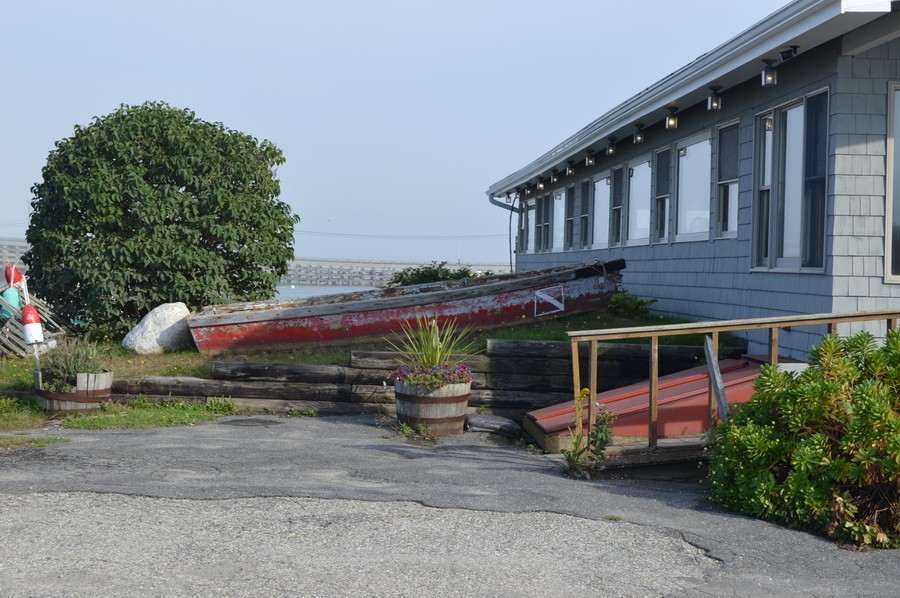 DSC_0225.JPG