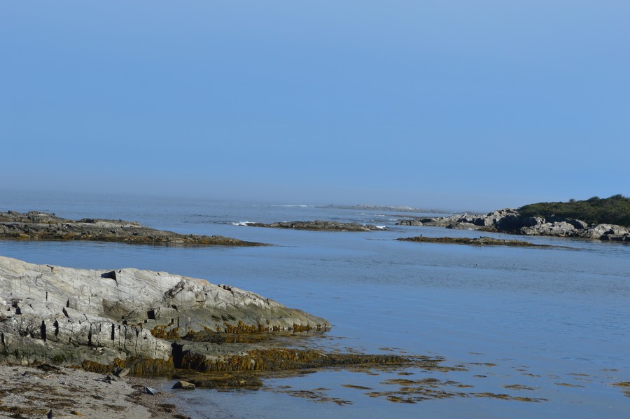 DSC_0226.JPG