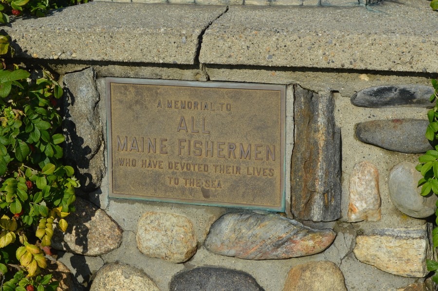 DSC_0230.JPG