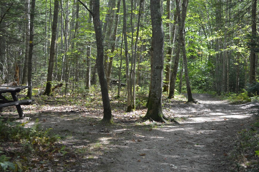 DSC_0234.JPG