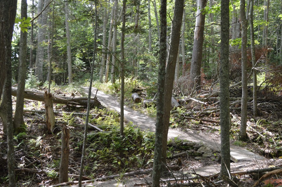 DSC_0239.JPG