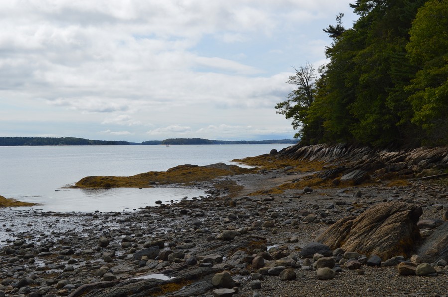 DSC_0240.JPG