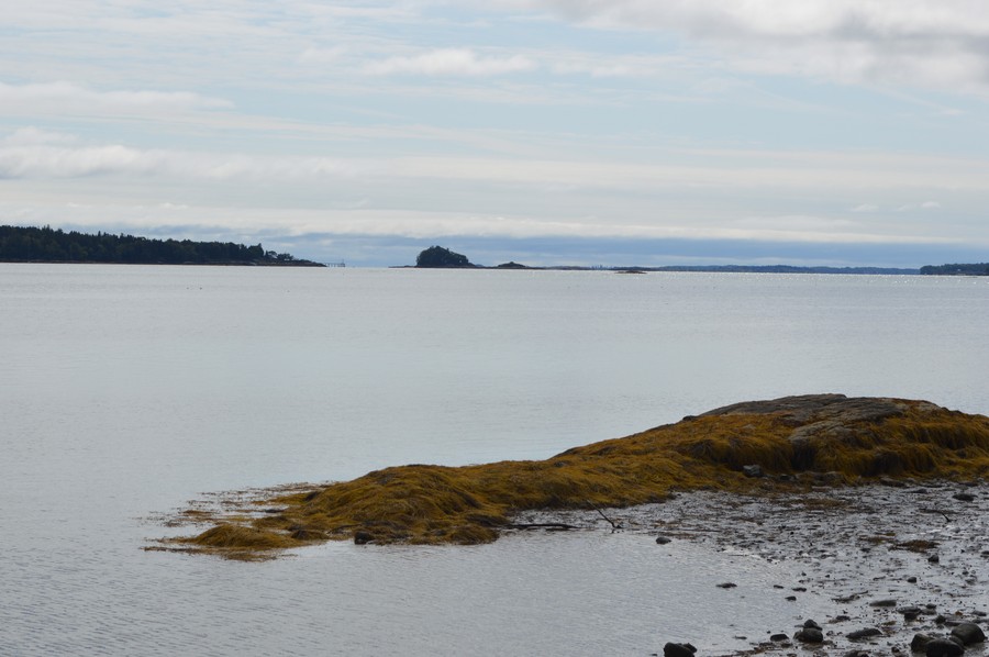 DSC_0241.JPG