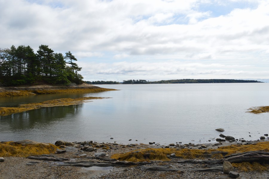DSC_0242.JPG