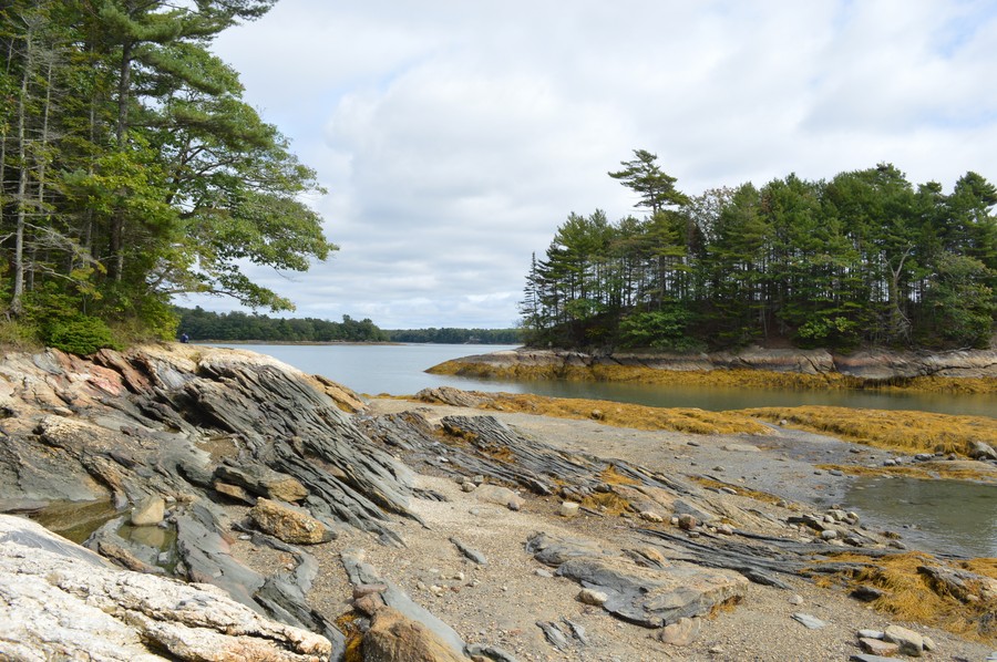 DSC_0243.JPG