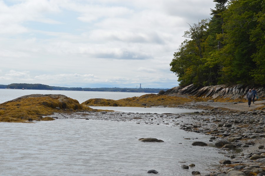 DSC_0246.JPG