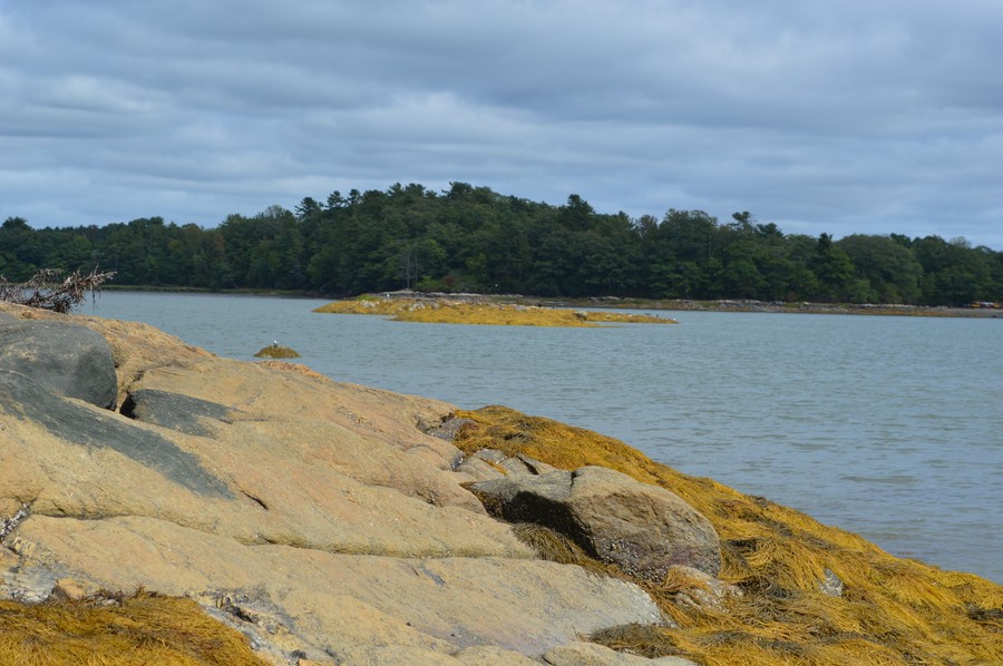 DSC_0249.JPG