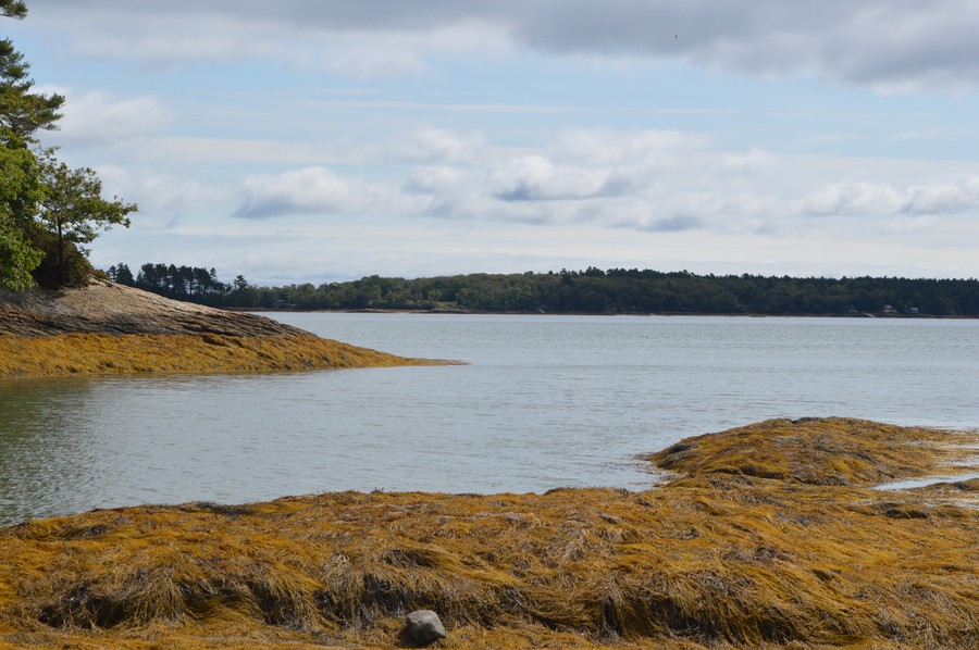 DSC_0251.JPG