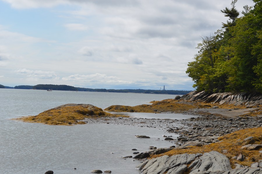 DSC_0254.JPG
