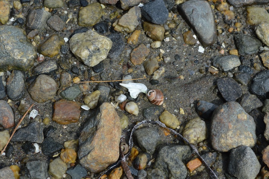 DSC_0260.JPG