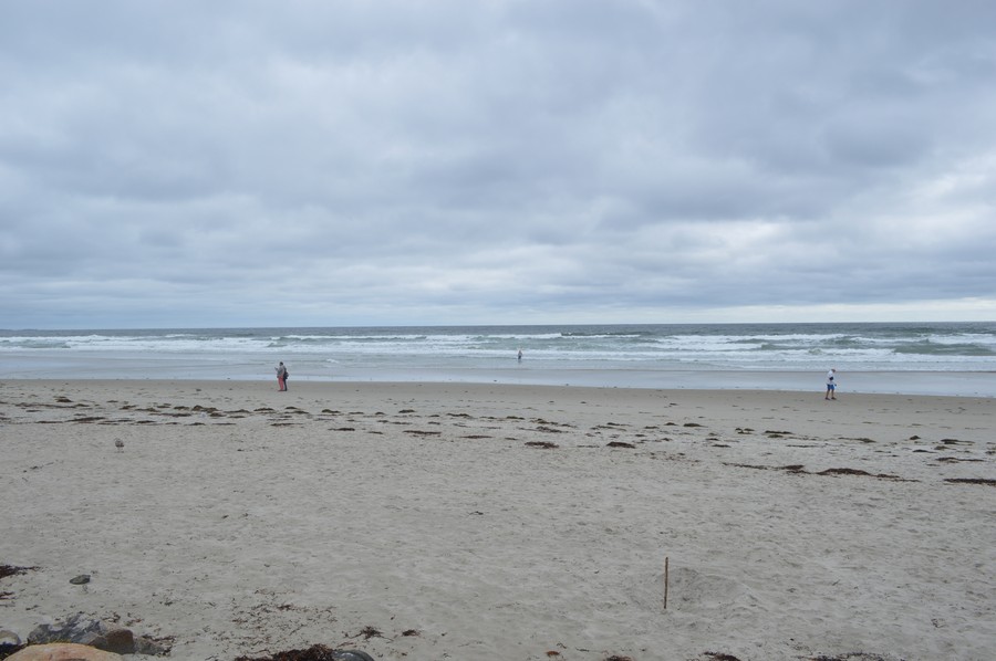 DSC_0263.JPG