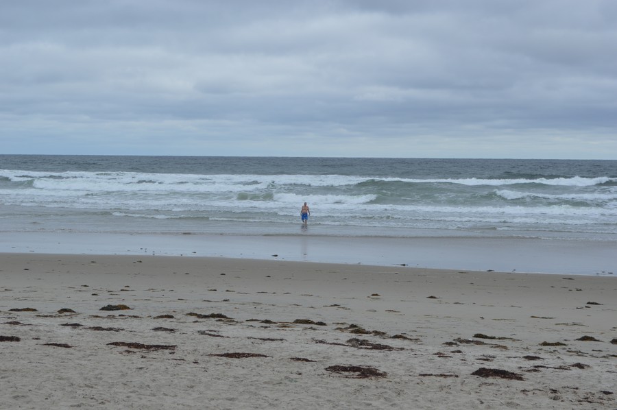 DSC_0264.JPG