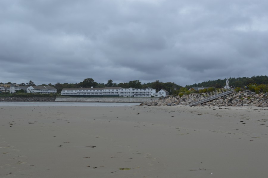 DSC_0266.JPG