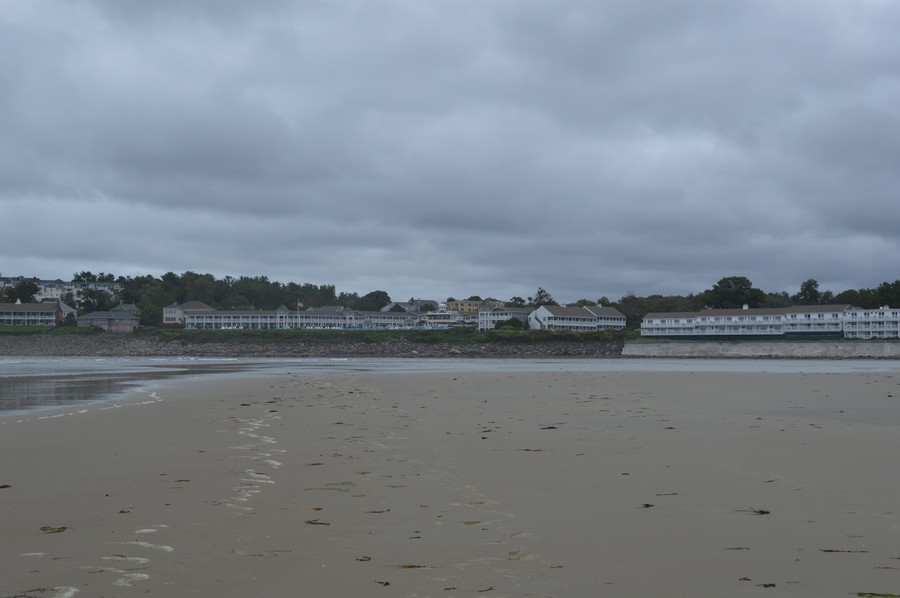 DSC_0267.JPG