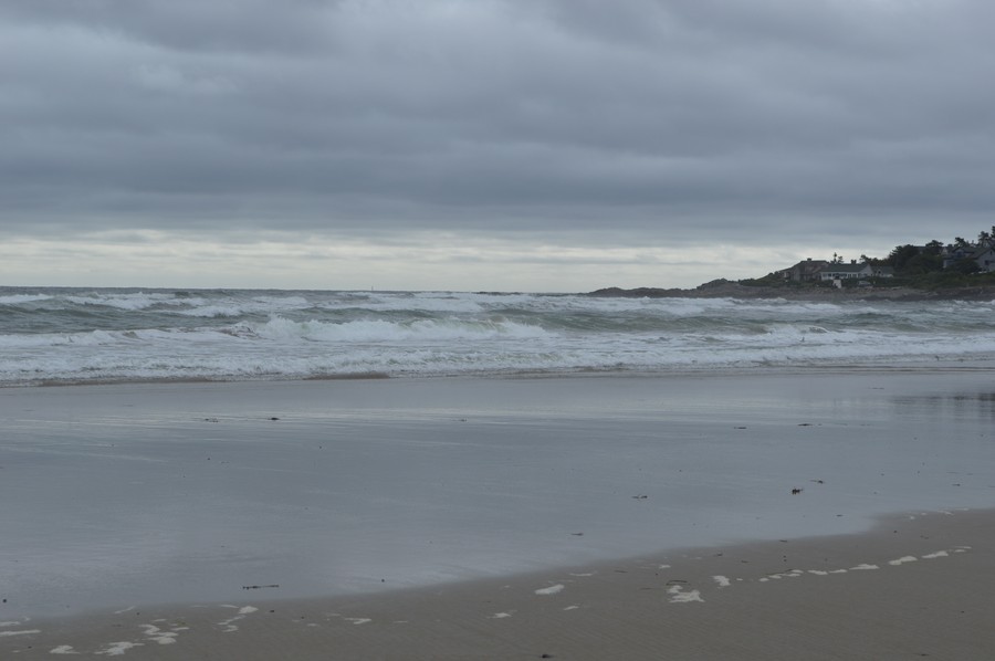 DSC_0269.JPG