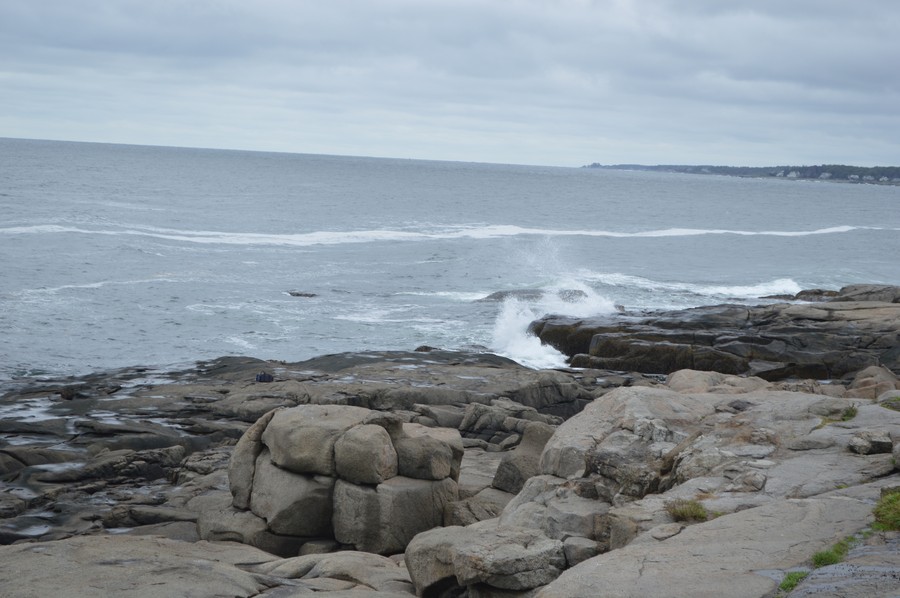 DSC_0275.JPG