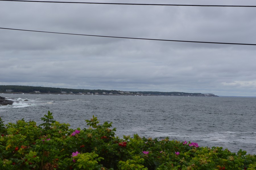 DSC_0278.JPG