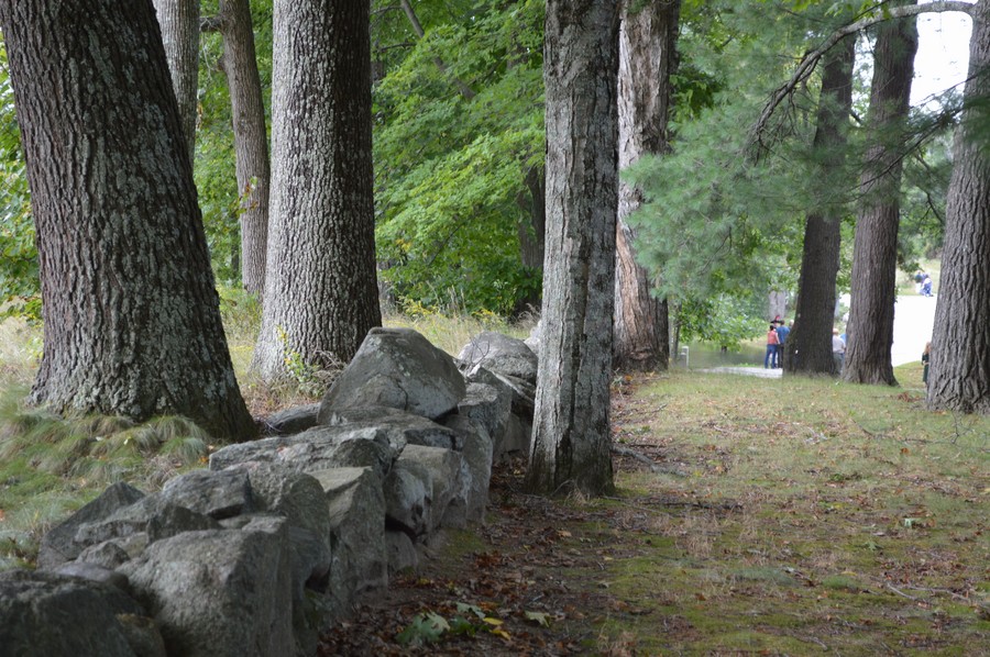 DSC_0294.JPG