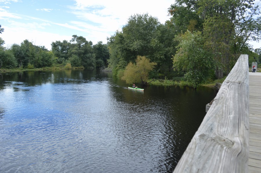 DSC_0306.JPG