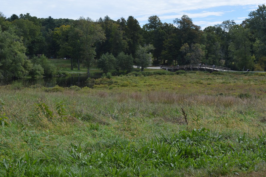 DSC_0343.JPG