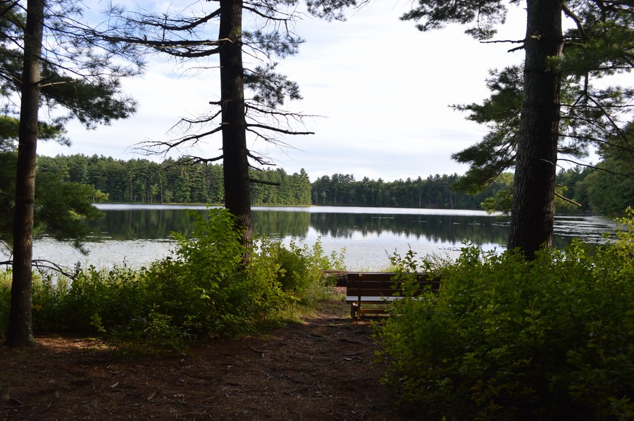 DSC_0363.JPG
