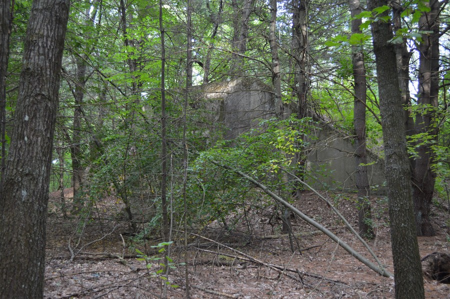 DSC_0369.JPG