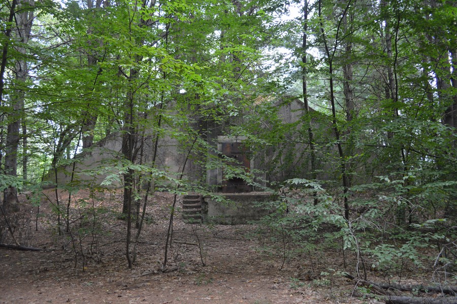 DSC_0370.JPG